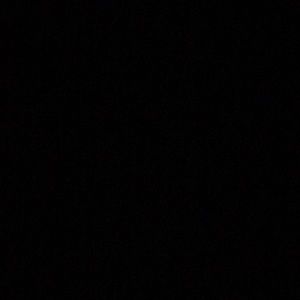 Meet your Posher, Josie